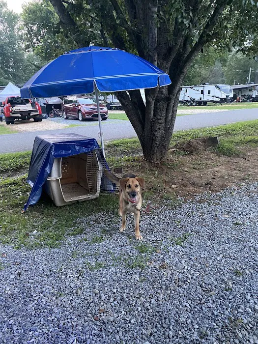 Ten Mile Campground Picture 8