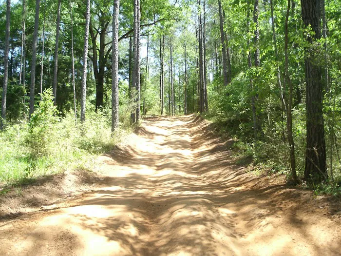 Boggs & Boulders LLC Picture 10
