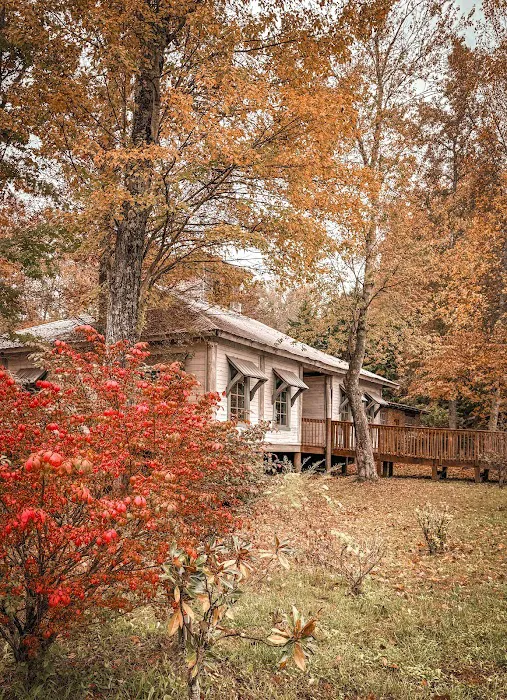 Camp Willow Picture 7