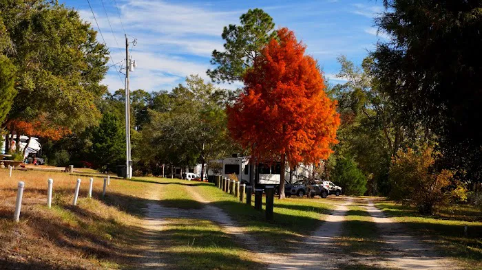Cedar Lakes RV Park & Campground Picture 2