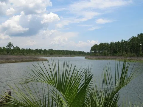 Avalon Landing RV Park Pensacola Picture 5