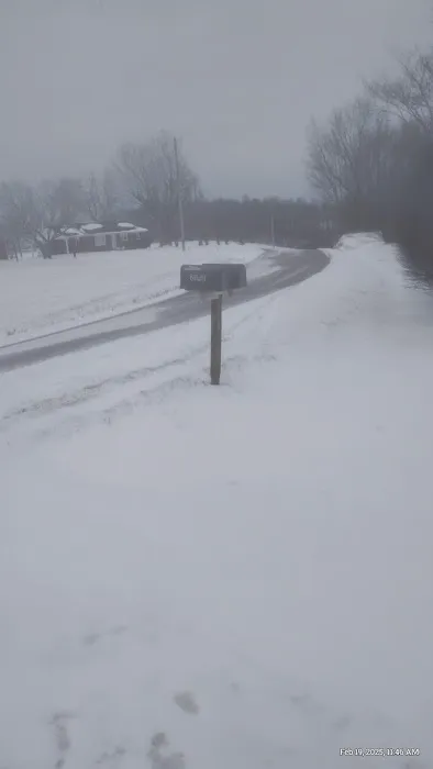 Albany KY Picture 4