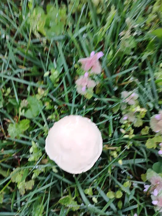 Albany KY Picture 2
