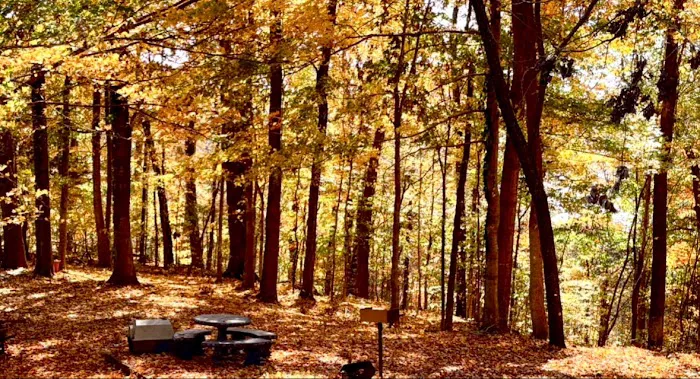 Dale hollow domes Picture 8