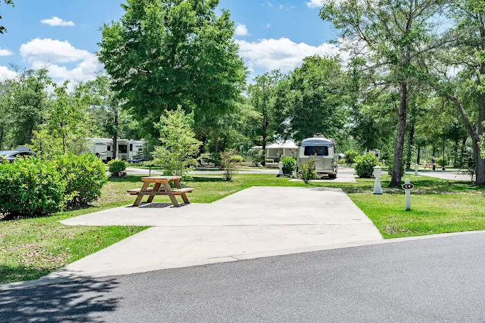 Splash RV Resort Picture 2
