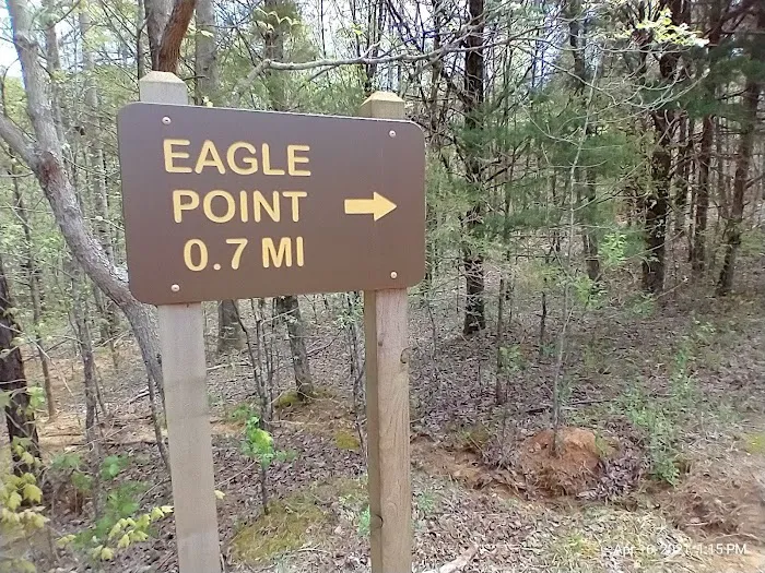 Dale Hollow State Park Campground Picture 7