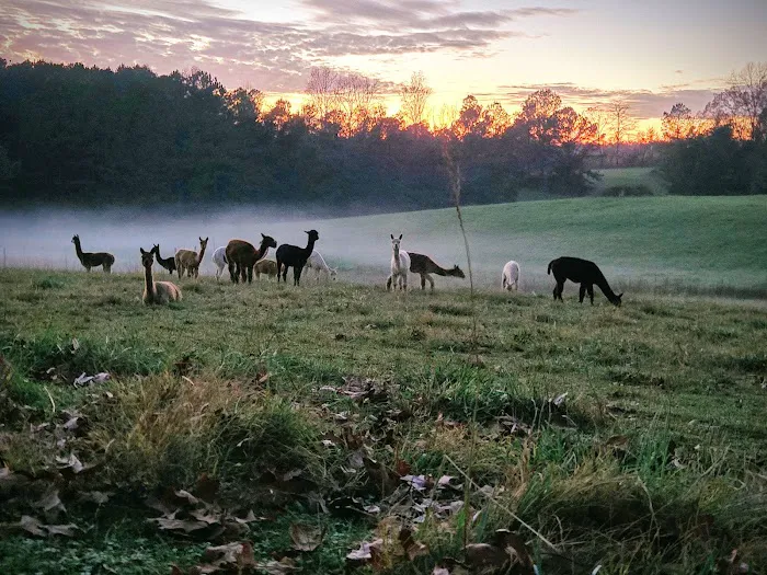 Tapestry Acres Picture 8