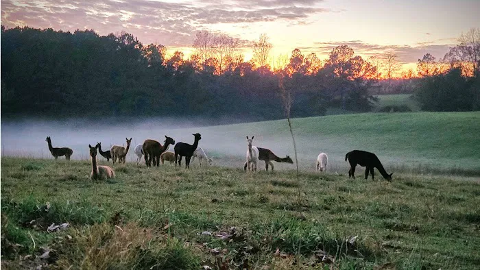 Tapestry Acres Picture 5
