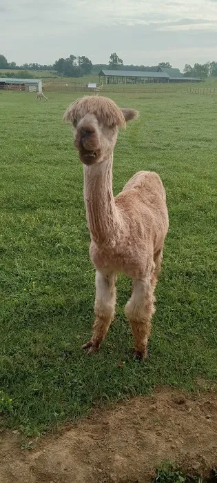 Tapestry Acres Picture 2