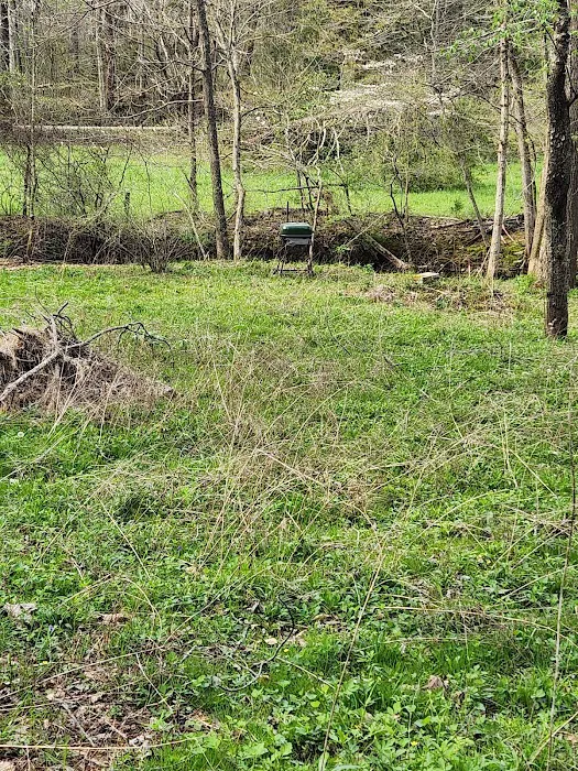 Nettlecarrier Creek Camp Picture 7