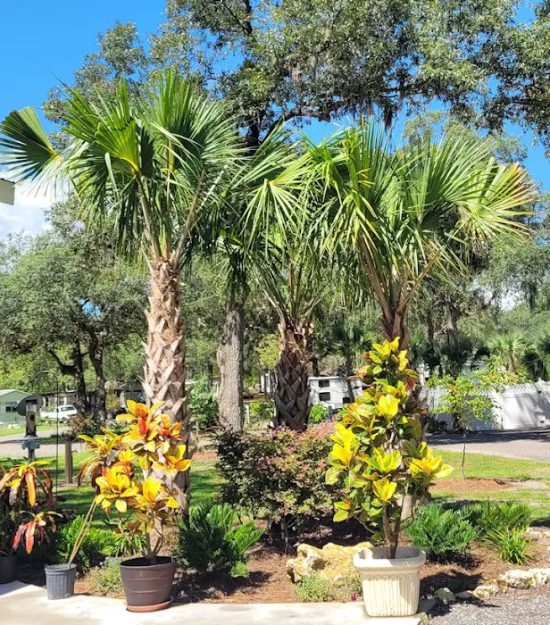 Manatee Springs RV Park Picture 10
