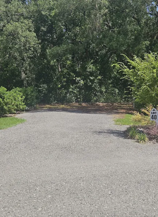 Manatee Springs RV Park Picture 8