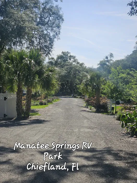 Manatee Springs RV Park Picture 5