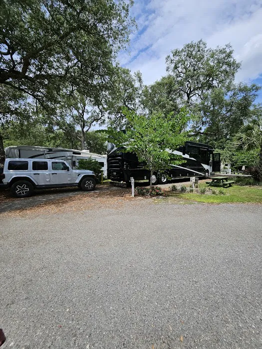 Manatee Springs RV Park Picture 3