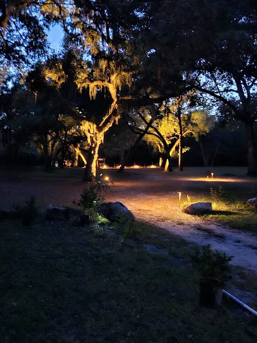 Manatee Springs RV Park Picture 9