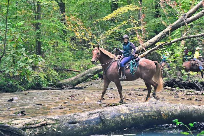 Mammoth Cave Horse Camp Picture 5