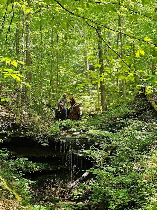 Mammoth Cave Horse Camp Picture 8