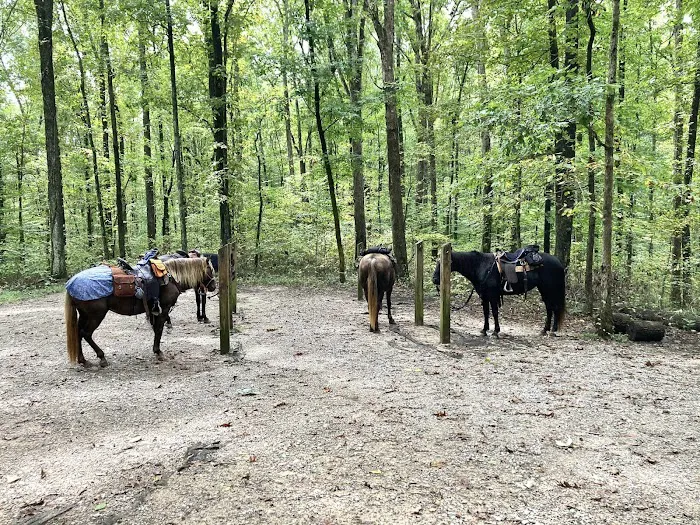 Mammoth Cave Horse Camp Picture 9