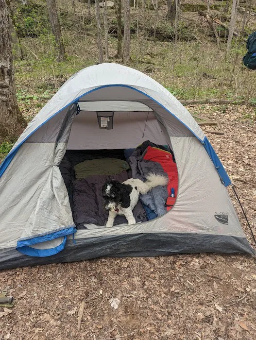 Three Springs Campground Picture 1