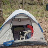 Three Springs Campground ico