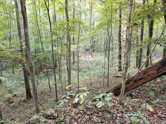 Three Springs Campground Picture 2