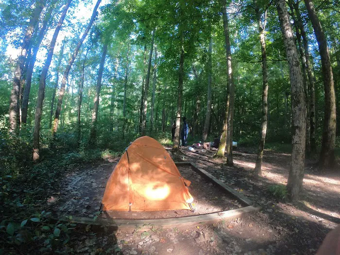 First Creek 2 Campground Picture 1