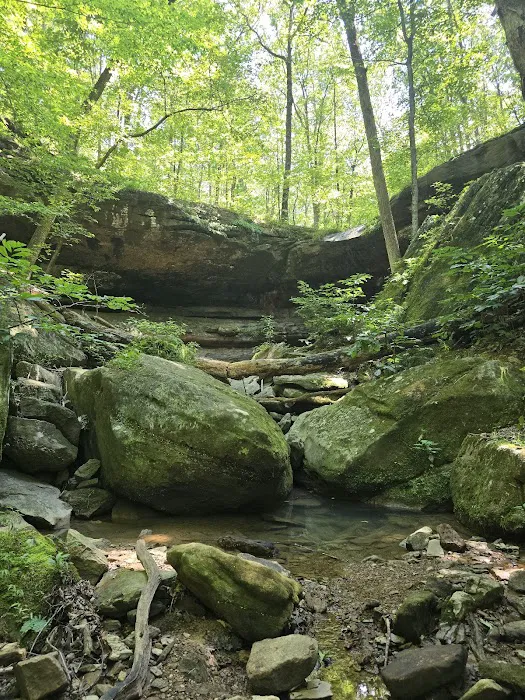 Brier Creek Campground Picture 1