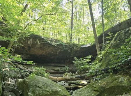 Brier Creek Campground