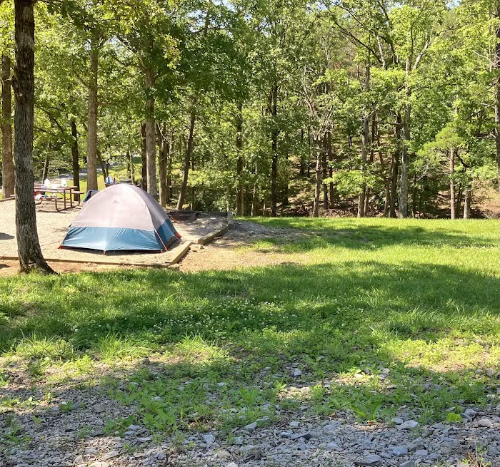 Moutardier Campground Picture 9