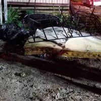 Pine Grove Trailer Park ico