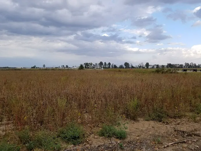 R&M RV Park Picture 7