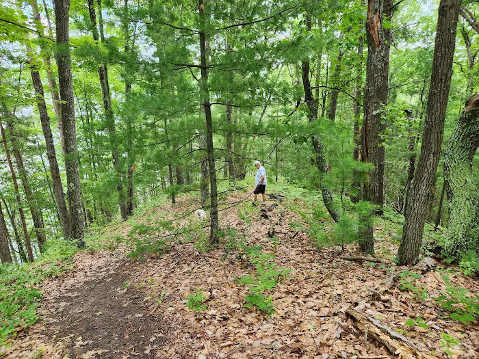 Ausable River Camping, site 070D Picture 1