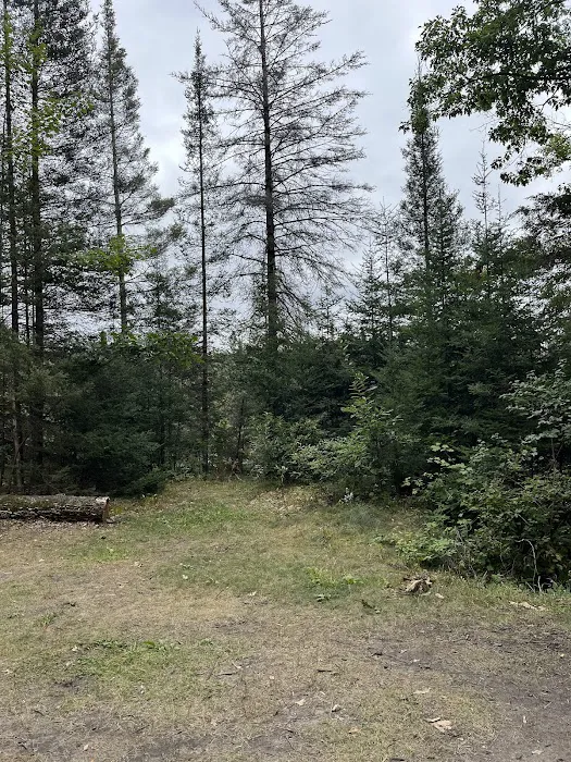 Ausable River Camping 08W Picture 5