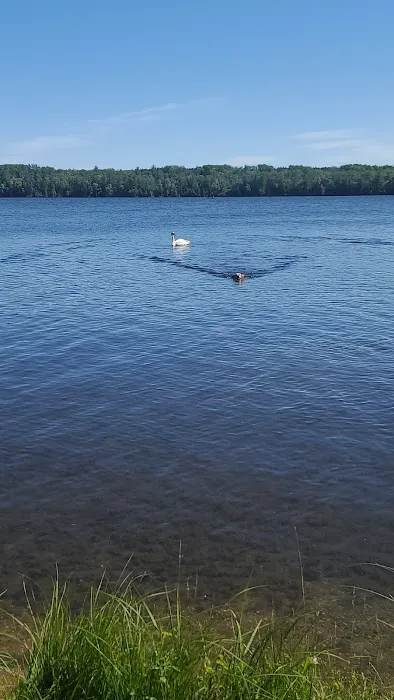 Alcona Park Picture 6