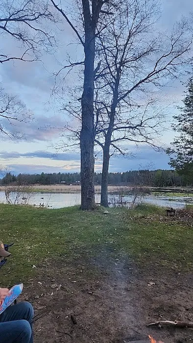Campsite 6D AuSable River Rustic Picture 1