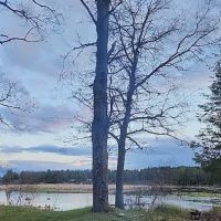 Campsite 6D AuSable River Rustic ico