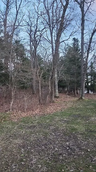 Campsite 6D AuSable River Rustic Picture 6