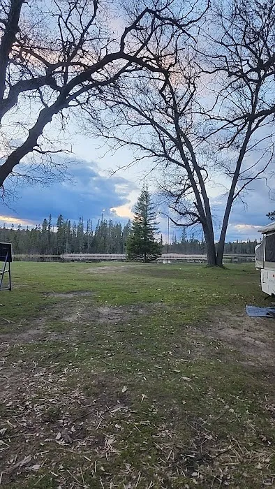 Campsite 6D AuSable River Rustic Picture 5