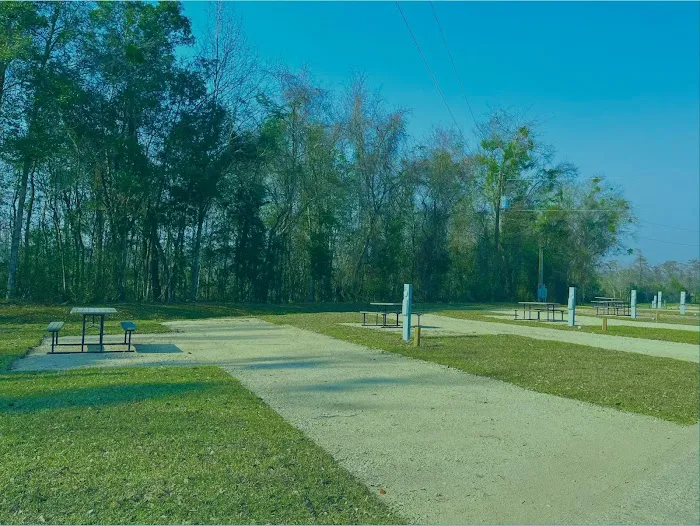 Swamp House RV Park & Marina Picture 4