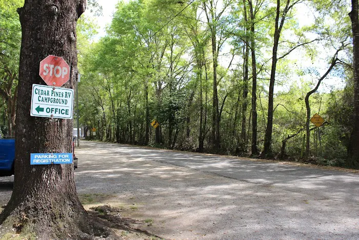 Wandering Oaks RV Park Picture 1