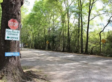 Wandering Oaks RV Park