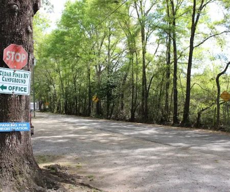 Wandering Oaks RV Park
