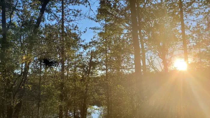Horseshoe Lake Campground Picture 9
