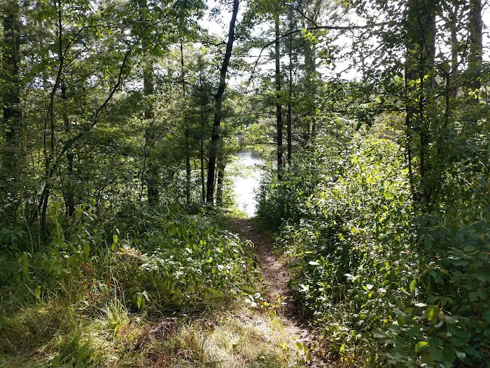 Horseshoe Lake Campground Picture 2