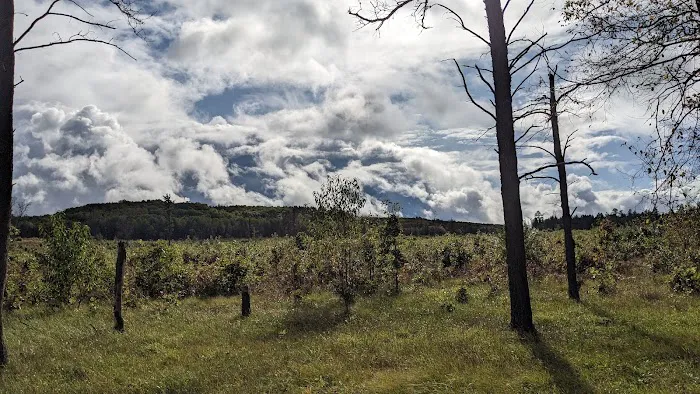 McKinley Trail Camp for the Shore to Shore Horseback and Hiking Trail Picture 3