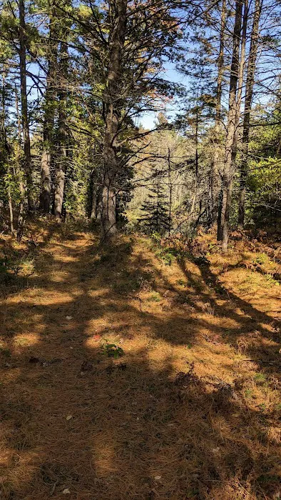 McKinley Trail Camp for the Shore to Shore Horseback and Hiking Trail Picture 2