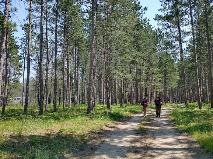 McKinley Trail Camp for the Shore to Shore Horseback and Hiking Trail Picture 1
