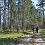 McKinley Trail Camp for the Shore to Shore Horseback and Hiking Trail