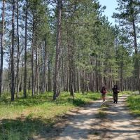 McKinley Trail Camp for the Shore to Shore Horseback and Hiking Trail ico