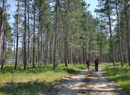 McKinley Trail Camp for the Shore to Shore Horseback and Hiking Trail